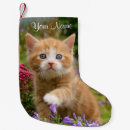 Buscar gatito calcetines navideños Para niños