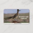 Buscar roadrunner Arizona