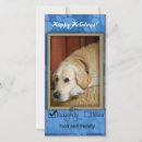Buscar agradable fotograficas tarjetas Perro