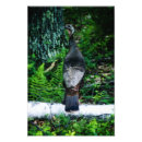 Buscar madre naturaleza posters Vida silvestre