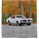 Buscar olds 442