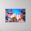 Buscar árbol japonés lienzos Sakura