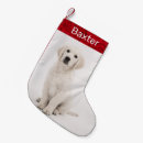 Buscar golden retriever calcetines navideños Nombre