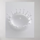 Buscar productos lácteos posters Comida