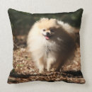 Buscar mirada de la cámara cojines Jadeo