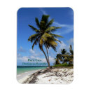 Buscar punta cana imanes Palmeras