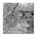Buscar río azulejos Nieve