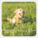 Buscar golden retriever pegatinas Amar