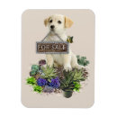 Buscar macetas imanes Plantas