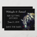 Buscar caballo rubio postales Occidental