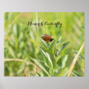 Buscar mariposas de monarca posters Naturaleza