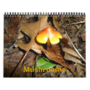 Buscar setas calendarios Naturaleza