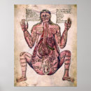Buscar ginecólogo posters Médica