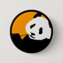 Buscar panda chapas Zoológico