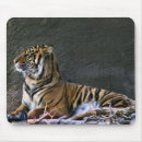 Buscar sumatra alfombrillas de raton Gatos