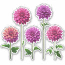Buscar dalia pegatinas Flores