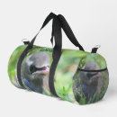 Buscar cera bolsos Pájaro