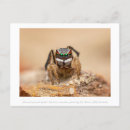 Buscar macro fotografía Naturaleza