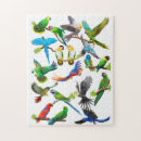Buscar los amazonas puzzles Loros