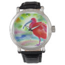 Buscar ibis Animal