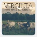 Buscar virginia pegatinas Divertido