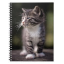 Buscar barbas libretas Animal
