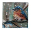 Buscar pájaros azules azulejos Pájaro azul