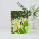 Buscar plantas tropicales postales Para ellos