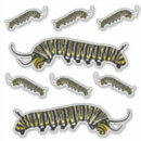 Buscar oruga pegatinas Amarillo