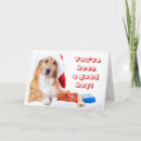 Buscar asta tarjetas Un animal