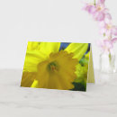 Buscar flores alegres tarjetas Brillante