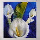 Buscar cala lilly Lirios