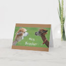 Buscar fav tarjetas Divertido
