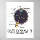 Buscar optometristas posters General y unisex