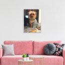 Buscar terrier de yorkshire lienzos Yorkie