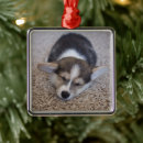 Buscar corgi adornos Pembroke welsh corgi