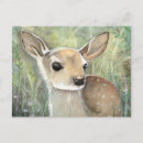 Buscar flora y fauna postales Adorable