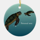 Buscar tortugas de mar adornos Marino