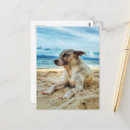 Buscar corte de pelo postales Moderno