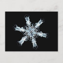 Buscar ciencias naturales postales Nadie