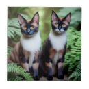 Buscar chocolates azulejos Gatos