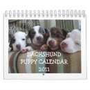 Buscar dachshund calendarios Perritos