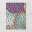 Buscar belleza natural postales Jardín