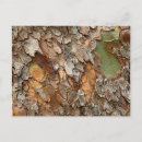 Buscar joanna postales Appalache