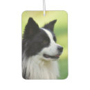 Buscar del retrato coche accesorios Perros