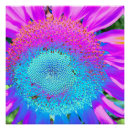 Buscar girasoles posters Rosa