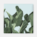 Buscar palmera tropical imanes Botánico