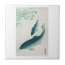 Buscar carpe azulejos Carpa