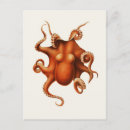 Buscar biología marina postales Oceanografía