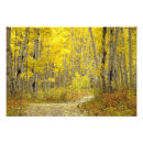 Buscar soledad fotografía Otoño